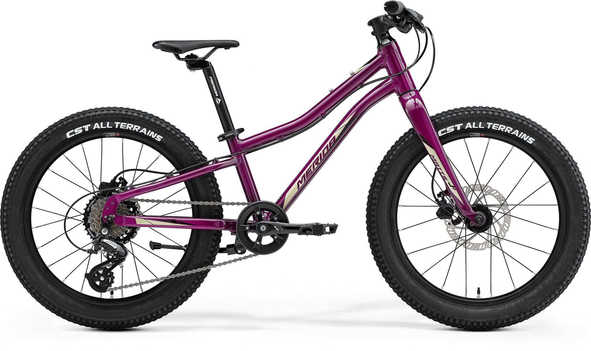 Merida Matts J.20+ Purple / Black / Champagne