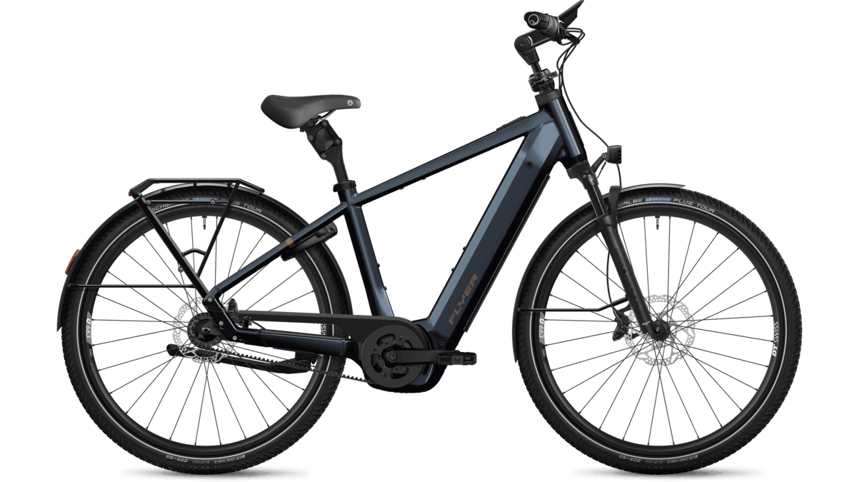Flyer G2 Gotour 5.43 R Diamant
