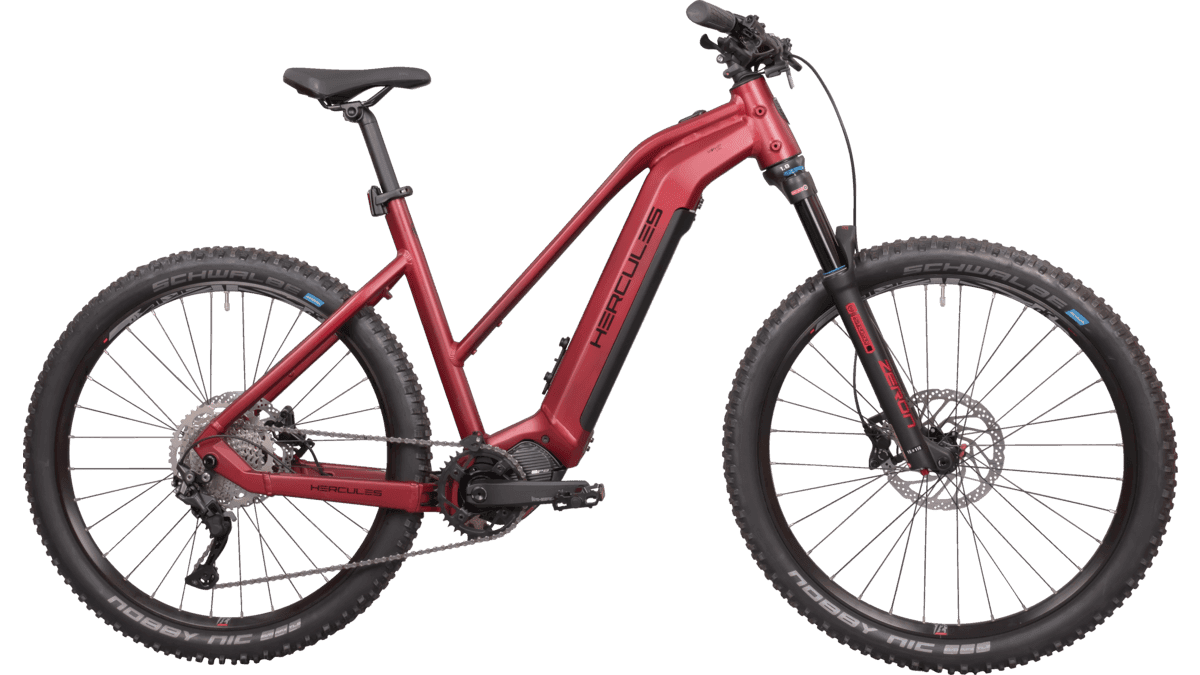 Hercules Nos 2.1 Trapez