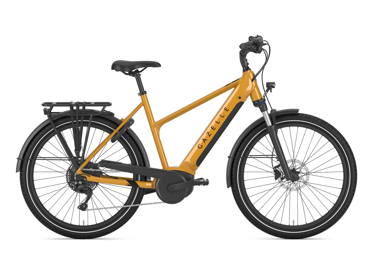 Gazelle Medeo T10